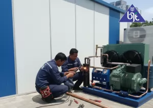 Mesin Gudang Pendingin Komersial (Cold Storage Chiller) untuk Simpan Buah Impor